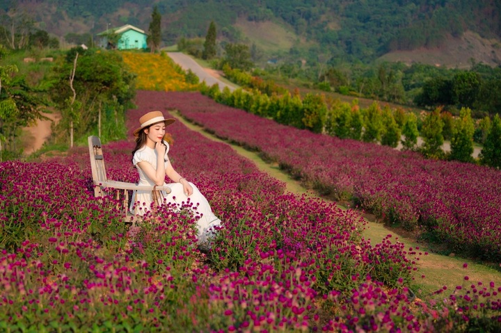 Dalat among Asia’s top 7 most romantic places - 1 Dalat among Asia’s top 7 most romantic places - 1