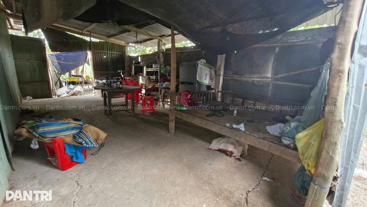 Dantri breaks ground on three homes in Tay Ninh - 2