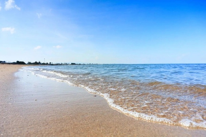 Two Vietnamese youths honored in Japan for heroic rescue - 1