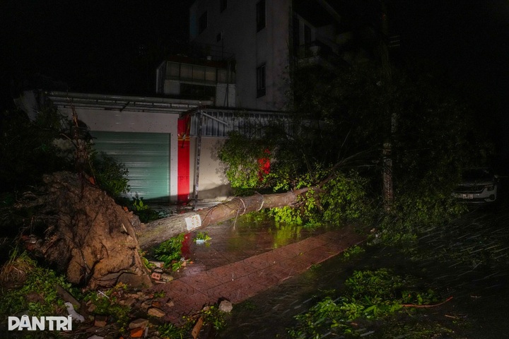 Typhoon Kajiki devastates Nghe An, leaving streets in ruins - 2