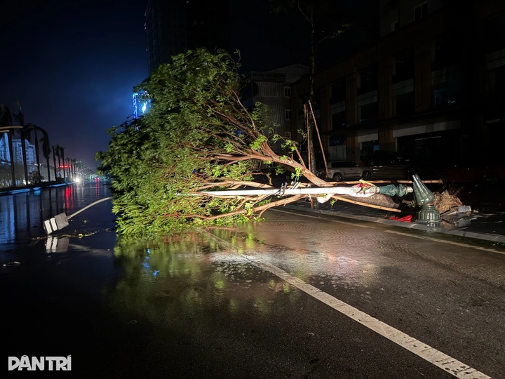Typhoon Kajiki devastates Nghe An, leaving streets in ruins - 1