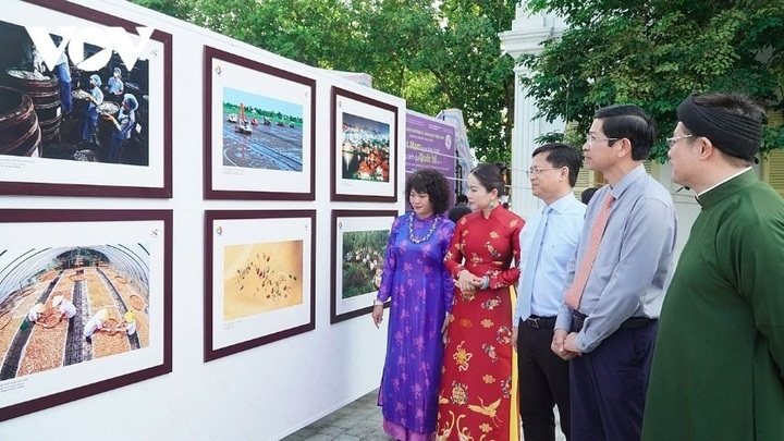 20 outstanding works honoured at International Photography Festival 2025 - 1