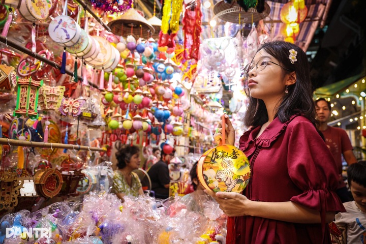 Early Mid-Autumn covers HCM City’s oldest lantern street - 7