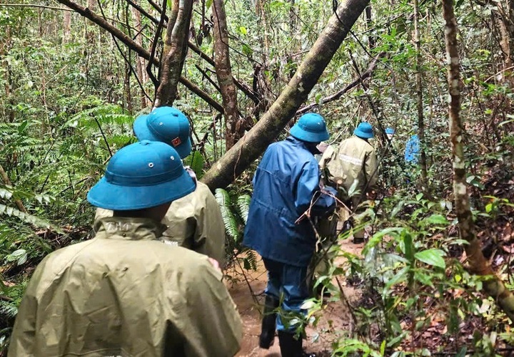 Elderly man rescued after five days lost in Dalat forest - 2