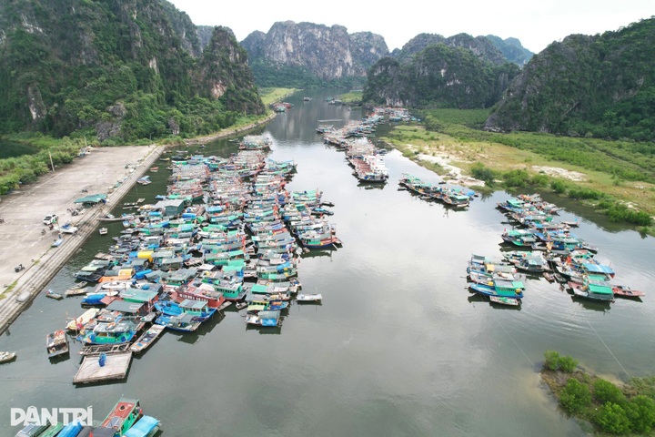 Typhoon Matmo to move along Vietnam-China border, bringing heavy rain - 1