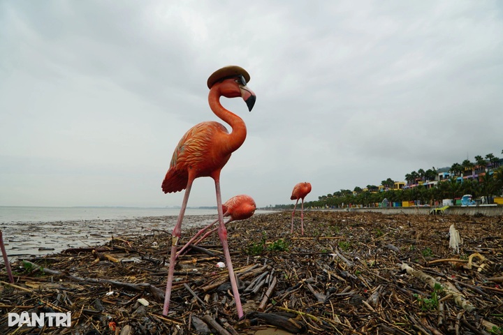 Thanh Hoa beach devastated after Typhoon Bualoi - 3 Thanh Hoa beach devastated after Typhoon Bualoi - 3