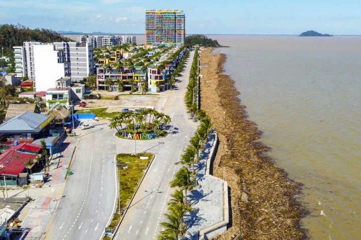 Thanh Hoa beach devastated after Typhoon Bualoi - 8 Thanh Hoa beach devastated after Typhoon Bualoi - 8