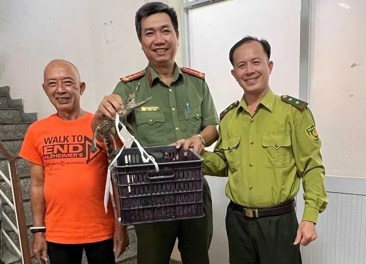 Crocodile found inside residential home in Ho Chi Minh City - 2