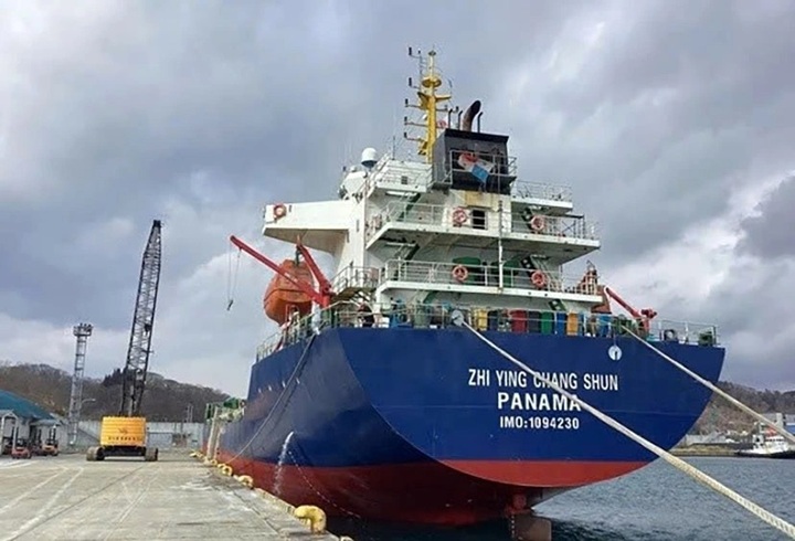 Panamanian ship detained at Vietnam port over cargo damage claim - 1