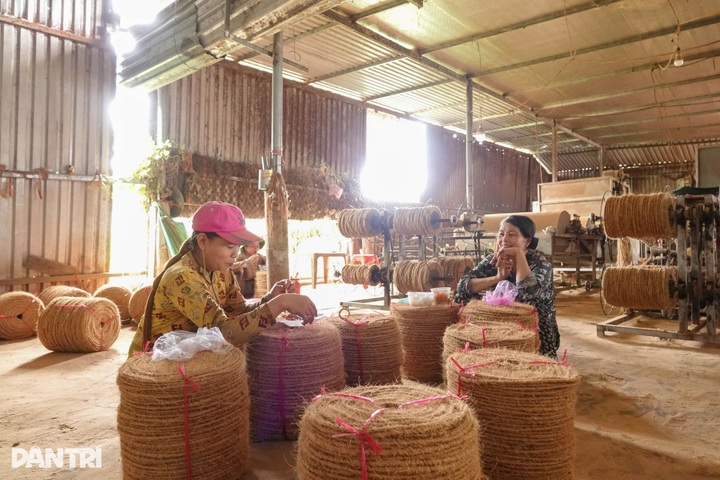 Coconut fibre processing craft sustains livelihoods in Vinh Long - 2 Coconut fibre processing craft sustains livelihoods in Vinh Long - 2