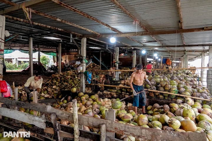 Coconut fibre processing craft sustains livelihoods in Vinh Long - 3 Coconut fibre processing craft sustains livelihoods in Vinh Long - 3