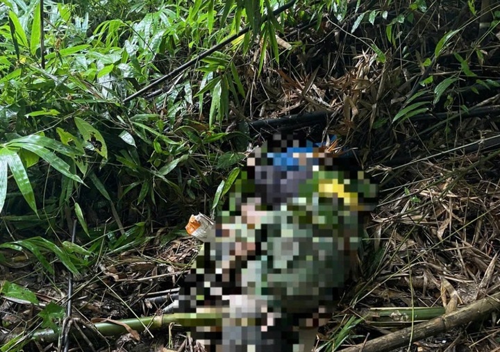 Lam Dong man feared trampled to death by wild elephant - 1 Lam Dong man feared trampled to death by wild elephant - 1