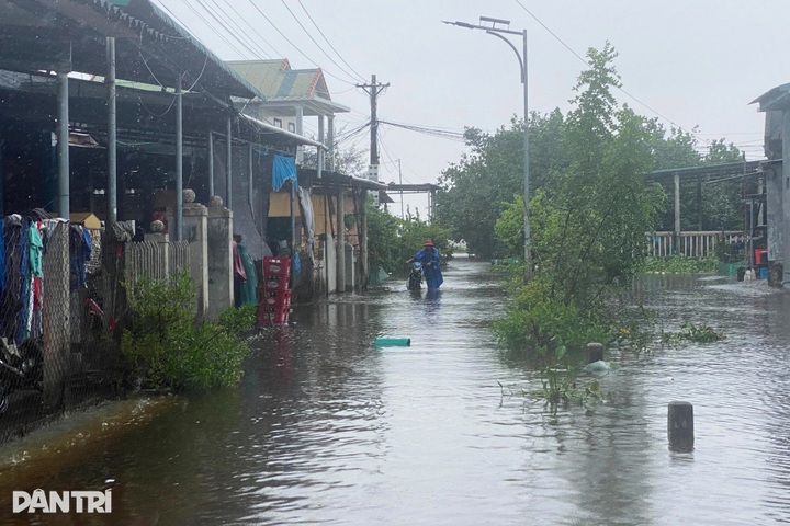 Hundreds of cars crowd public spaces in Hue to avoid flooding - 8