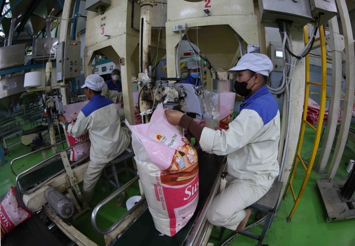 Vietnam approves content of MoU on rice trade cooperation with Singapore - 1