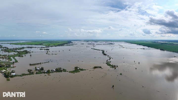 Dong Thap Muoi residents struggle amid worst flooding in years - 1