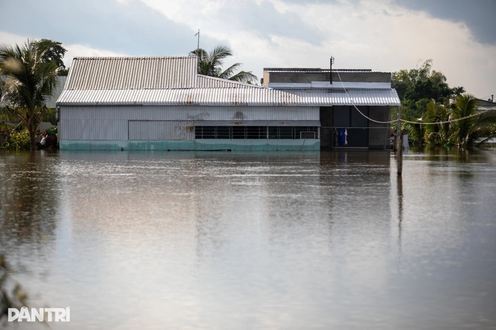 Dong Thap Muoi residents struggle amid worst flooding in years - 2
