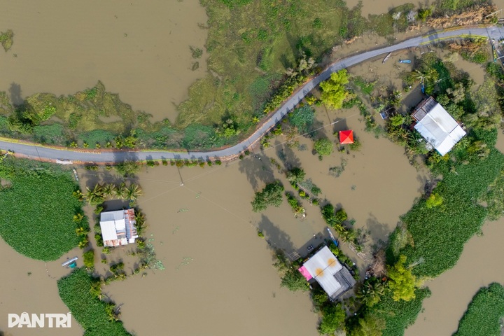 Dong Thap Muoi residents struggle amid worst flooding in years - 3