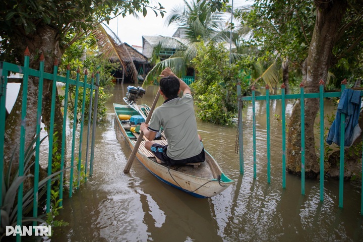 Dong Thap Muoi residents struggle amid worst flooding in years - 4