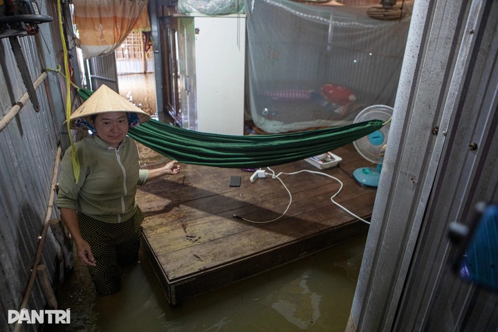 Dong Thap Muoi residents struggle amid worst flooding in years - 5