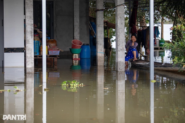 Dong Thap Muoi residents struggle amid worst flooding in years - 7