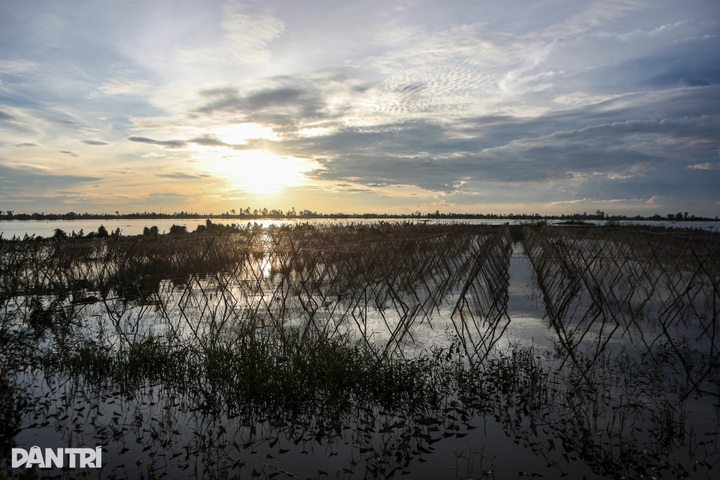 Dong Thap Muoi residents struggle amid worst flooding in years - 9