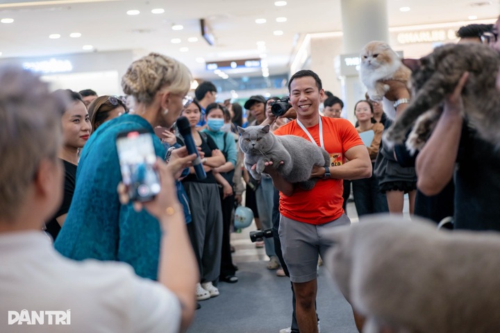 Thai long-haired cat beats 120 rivals at WCF International Jubilee show - 2 Thai long-haired cat beats 120 rivals at WCF International Jubilee show - 2