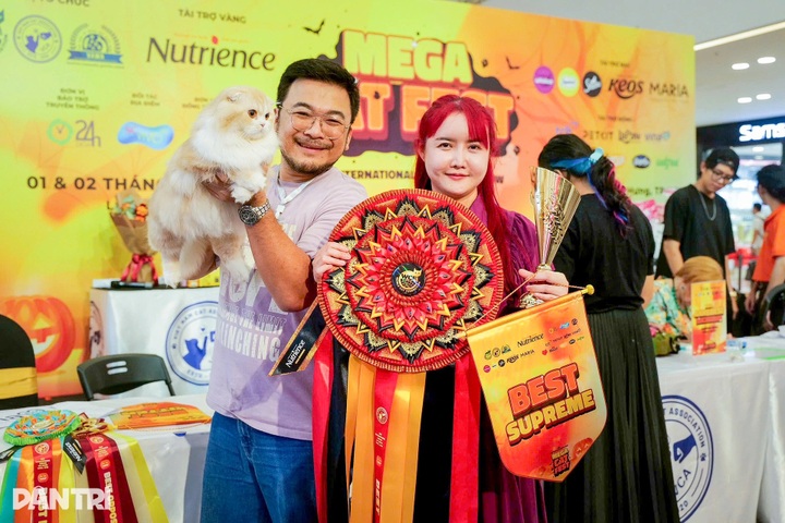 Thai long-haired cat beats 120 rivals at WCF International Jubilee show - 3 Thai long-haired cat beats 120 rivals at WCF International Jubilee show - 3