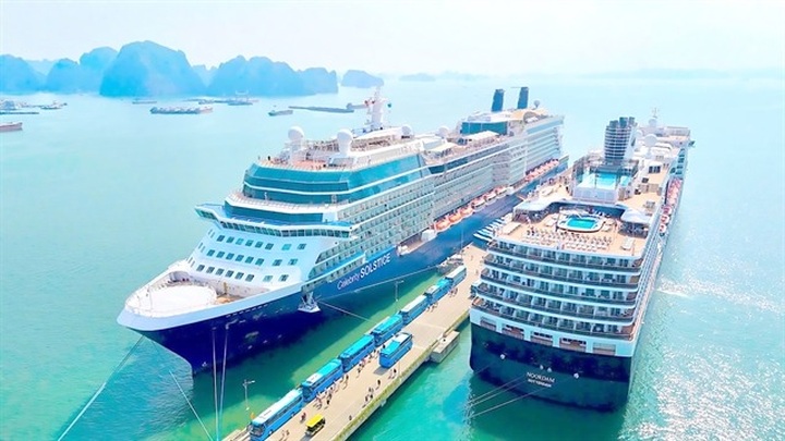 HCM City targets role as regional cruise tourism hub - 1
