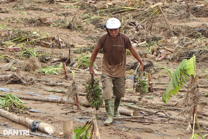 Danang vegetable village devastated following historic flooding - 1