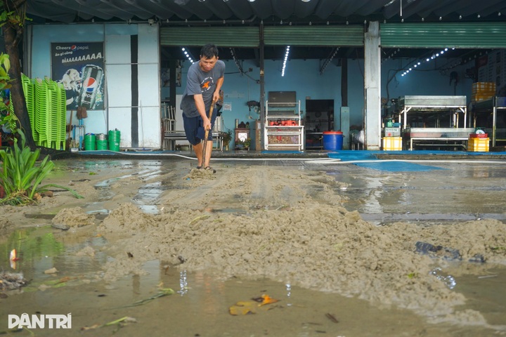 Trees toppled across Danang beaches and streets after Typhoon Kalmaegi - 8 Trees toppled across Danang beaches and streets after Typhoon Kalmaegi - 8