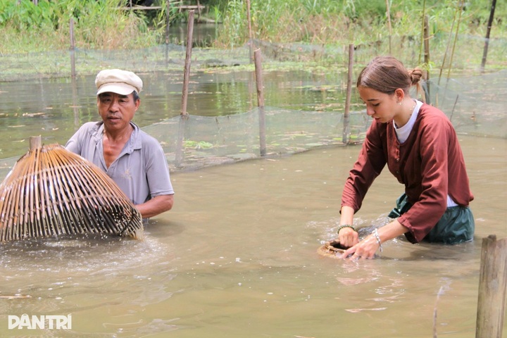 Foreign visitors ride buffaloes and plant rice in Ninh Binh - 3