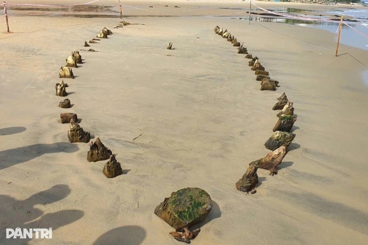 Crowds visit re-emerged wooden shipwreck on Hoi An beach - 2