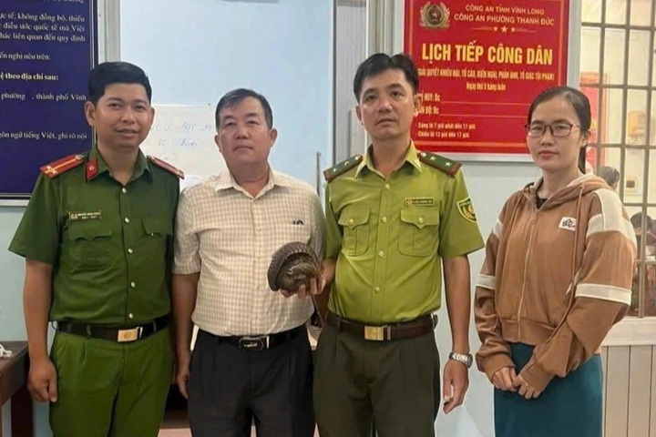 Lost Javan pangolin rescued in Vinh Long - 1