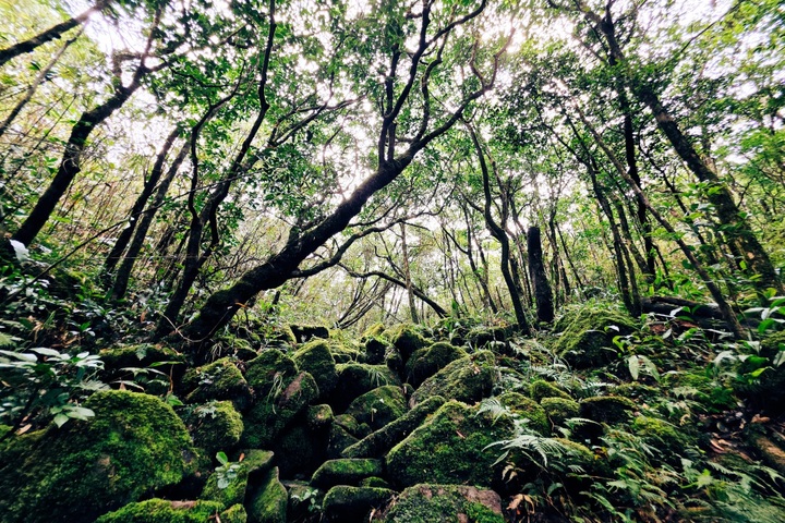 Cloud hunting on the roof of Quang Tri - 5
