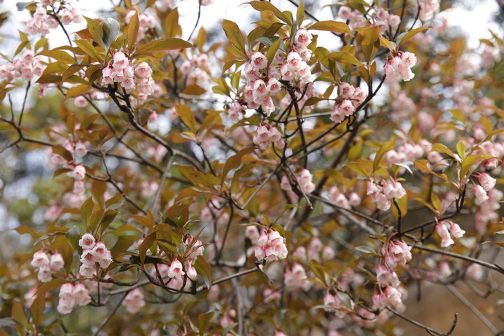 Cloud hunting on the roof of Quang Tri - 6