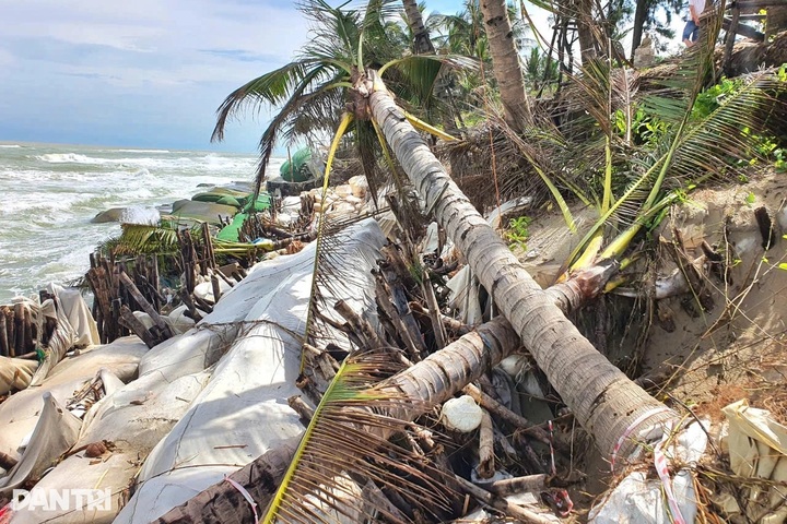Danang declares disaster emergency after severe erosion - 2