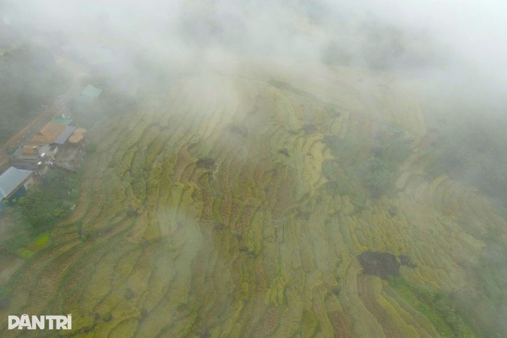 Pu Luong’s dreamy mist creates breathtaking scene - 2 Pu Luong’s dreamy mist creates breathtaking scene - 2