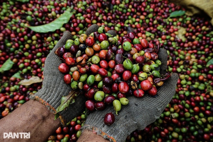 Vietnam exports to US hit record USD 126.17 billion - 1