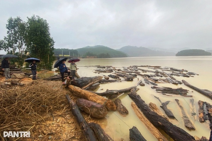 Nearly 90 tonnes of driftwood wash into Hue reservoirs after floods - 2