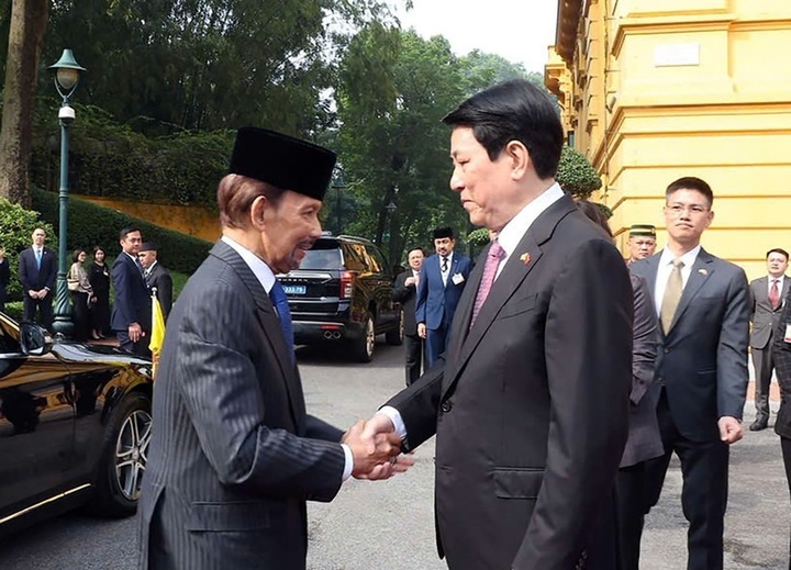 Vietnamese State President chairs welcome ceremony for Sultan of Brunei - 1