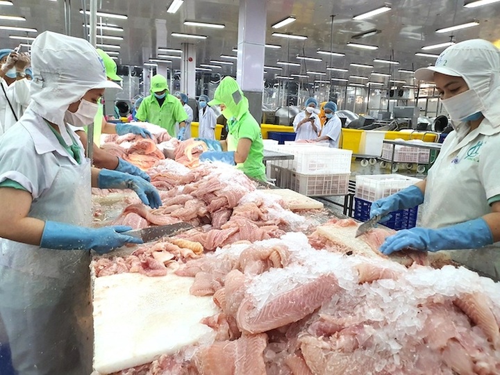 Vietnam seafood exports may reach USD 11 billion this year - 1