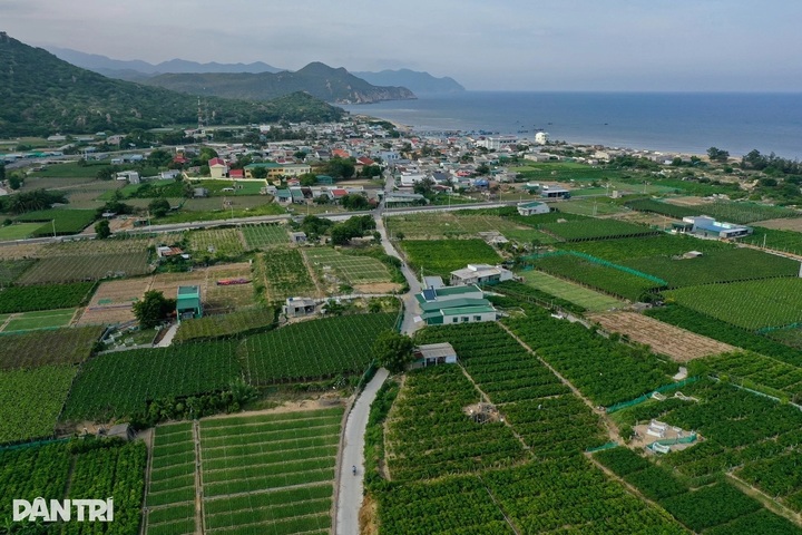 Vietnam lists nuclear projects in Khanh Hoa for operation by 2035 - 1