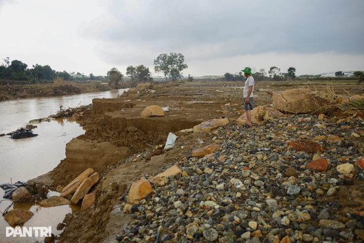 Lam Dong farmers lose entire vegetable crop after devastating floods - 5