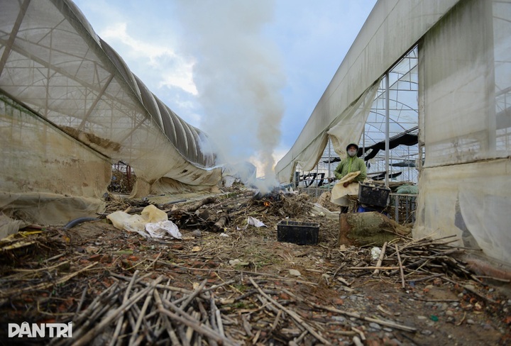 Lam Dong farmers lose entire vegetable crop after devastating floods - 1