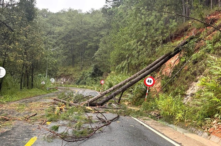 Heavy rain triggers new landslides on Dalat mountain passes - 1 Heavy rain triggers new landslides on Dalat mountain passes - 1