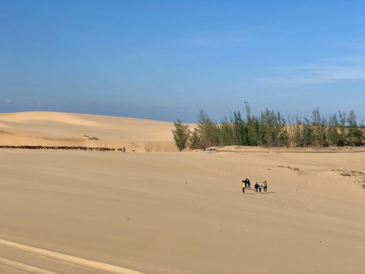 Mui Ne, Dalat among top destinations for New Year adventures - 1
