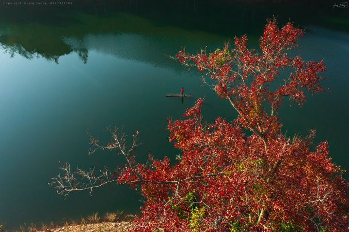 Red-leaf season brings poetic beauty to Cao Bang lake - 7