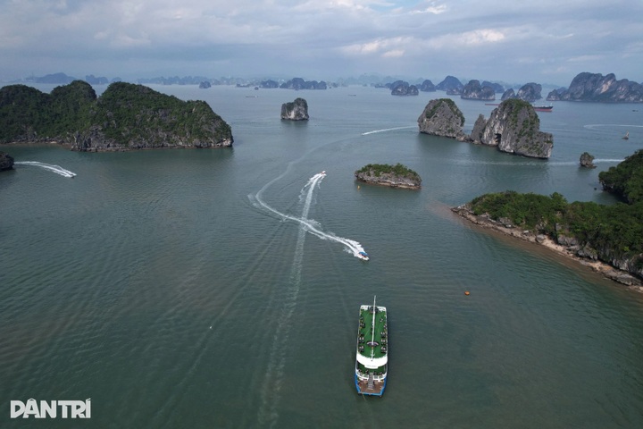 Kayaking through Luon Cave reveals tranquil side of Ha Long Bay - 3