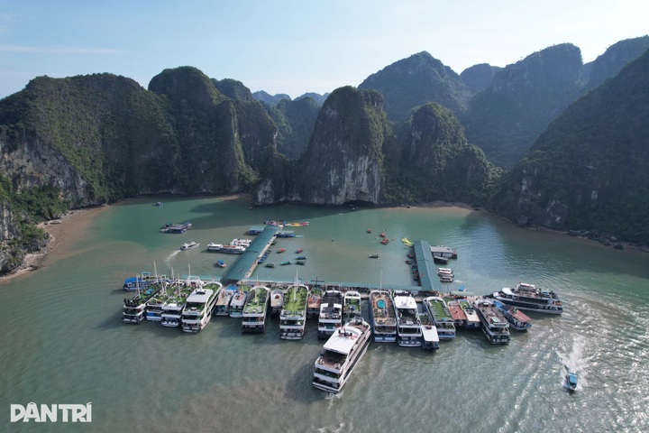 Kayaking through Luon Cave reveals tranquil side of Ha Long Bay - 4