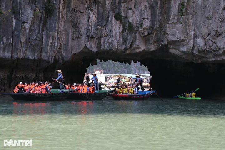 Kayaking through Luon Cave reveals tranquil side of Ha Long Bay - 1